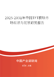 2024-2030年中國TFT模塊市場現(xiàn)狀與前景趨勢報告