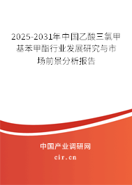 2025-2031年中國(guó)乙酸三氯甲基苯甲酯行業(yè)發(fā)展研究與市場(chǎng)前景分析報(bào)告