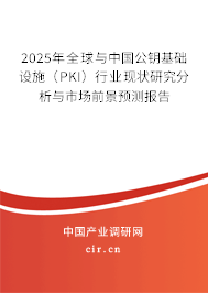 2025年全球與中國公鑰基礎(chǔ)設(shè)施（PKI）行業(yè)現(xiàn)狀研究分析與市場前景預(yù)測報告