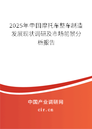 2025年中國摩托車整車制造發(fā)展現(xiàn)狀調(diào)研及市場前景分析報告