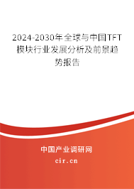 2024-2030年全球與中國TFT模塊行業(yè)發(fā)展分析及前景趨勢報告